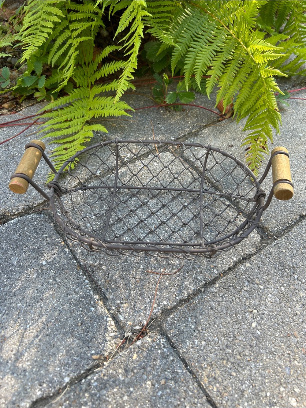 Rustic Wire Basket Tray with Wood Handles